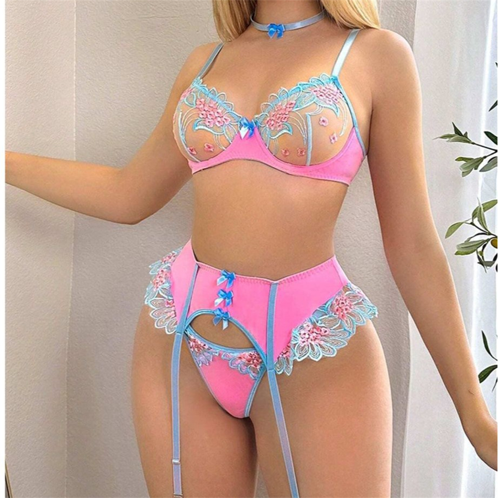Sexy Fancy Lingerie Transparen - Sheer Bra Lace recension och pris