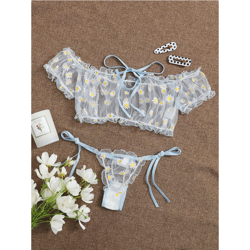 Sexy Lace Transparent Lingerie - Sheer Bra Lace recension och pris